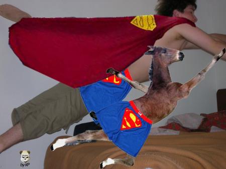 super âne